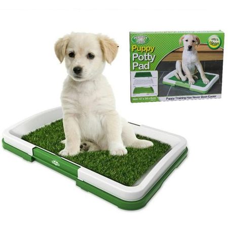 Inodoro Portátil Entrenamiento Perros Césped Artif  Genieka Verde