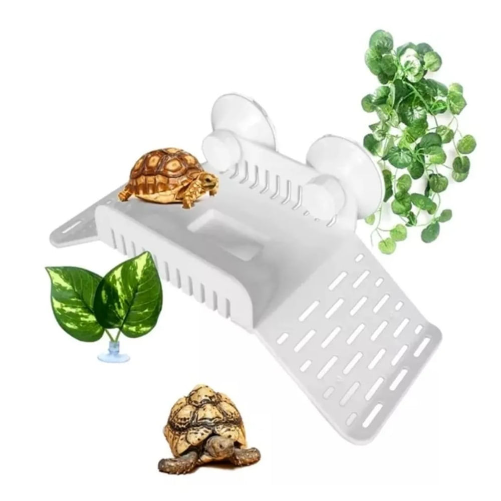 Plataforma con rampa para tortugas semi acuática