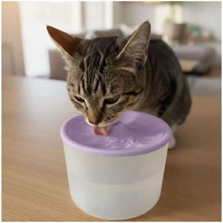 Bebedero con Fuente de Agua Eléctrico para Mascotas Gato Perro Morado