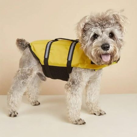CHALECO SALVAVIDAS PARA PERROS - TALLA M CON REGALO INCLUIDO Amarillo