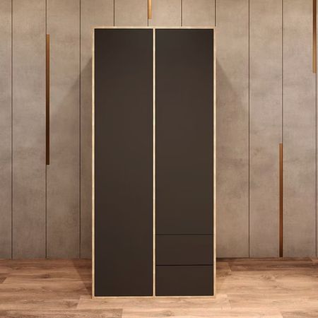 Armario Palmer 2 cajones Negro y Marron | Masiva Home