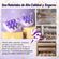 imageUrl_8