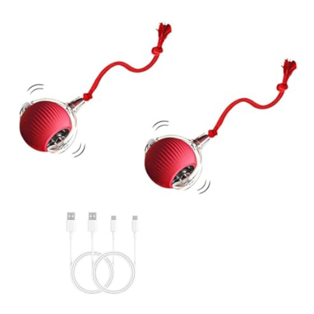 Juguetes Para Mascotas Pelota Inteligente Interactiva Pack 2