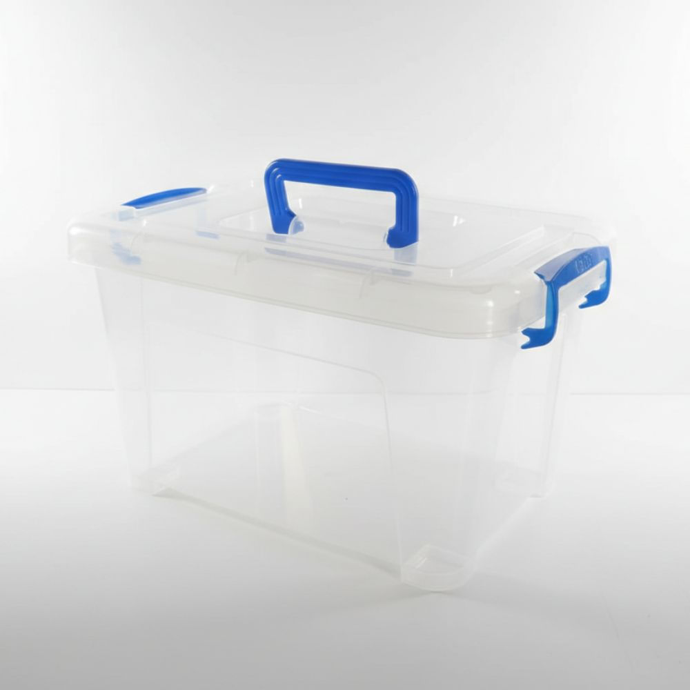 Cajita Organizadora Paty de Plástico Transparente con Tapa