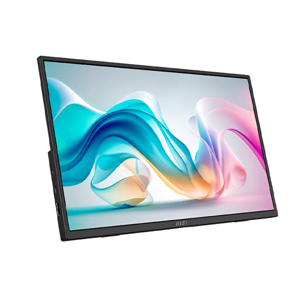 Monitor MSI PRO MP165 E6 portátil 15.6 FHD 60 Hz 4 ms HDMI