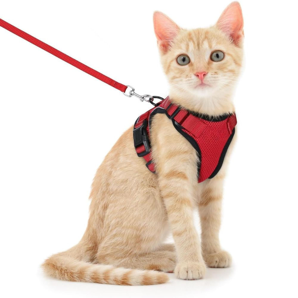 Arnés para Gato Ajustable a Prueba de escape con Correa Talla XS Color Rojo
