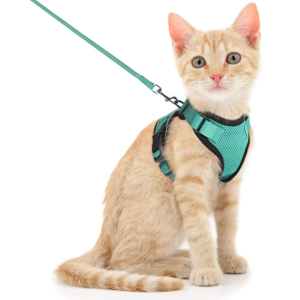Arnés para Gato Ajustable a Prueba de escape con Correa Talla XS Color Cian
