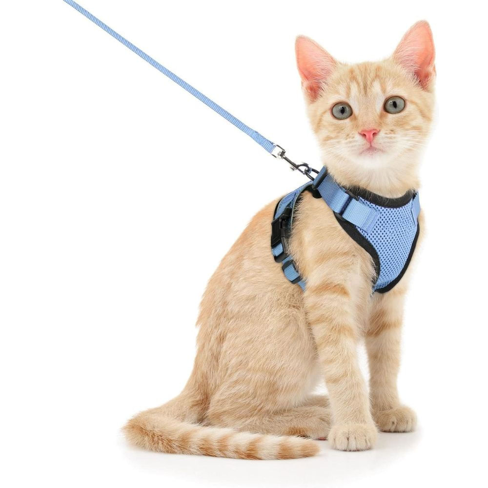 Arnés para Gato Ajustable a Prueba de escape con Correa Talla XS Color Celeste