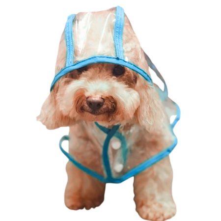 CAPA Impermeable de Lluvia para Mascotas Talla 1 CELESTE