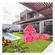 imageUrl_5