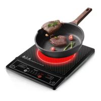 COCINA DE INDUCCION DE 1 HORNILLA RAF R8015