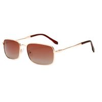 Lente de sol Unisex Homewey 2309C2 Marron-Dorado