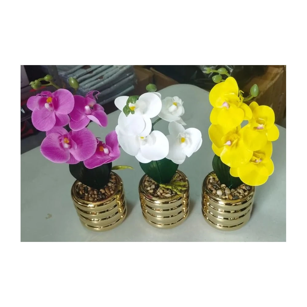 Orquídea con Base Dorada colores al azar