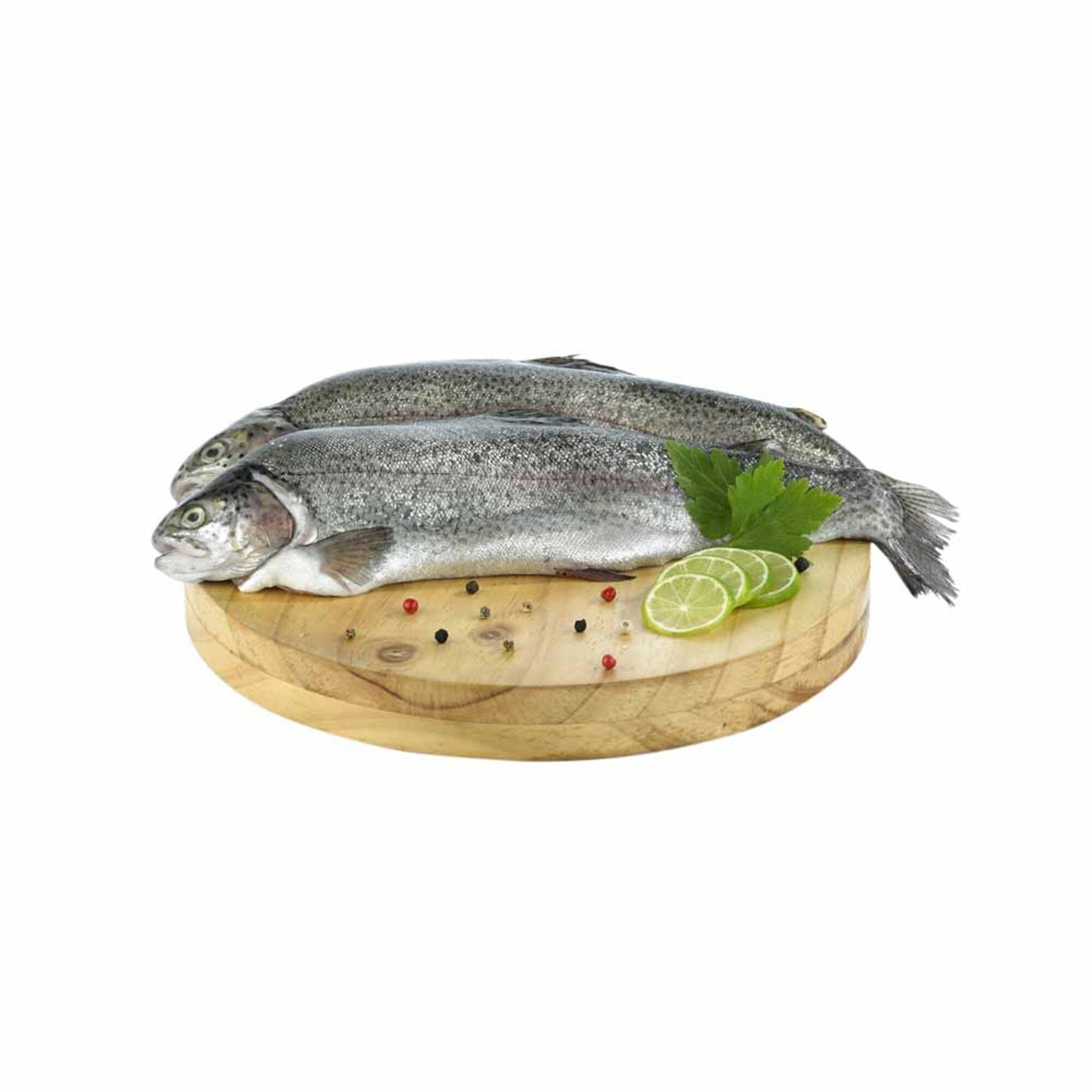 Trucha Eviscerada Congelada x kg