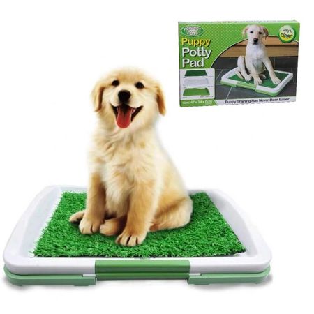Baño Portátil Entrenamiento Perros Gatos Orinal Genieka Verde
