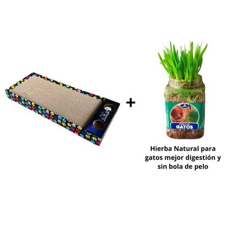 Pack Rascador Bandeja + Hierba Natural Para Gatos