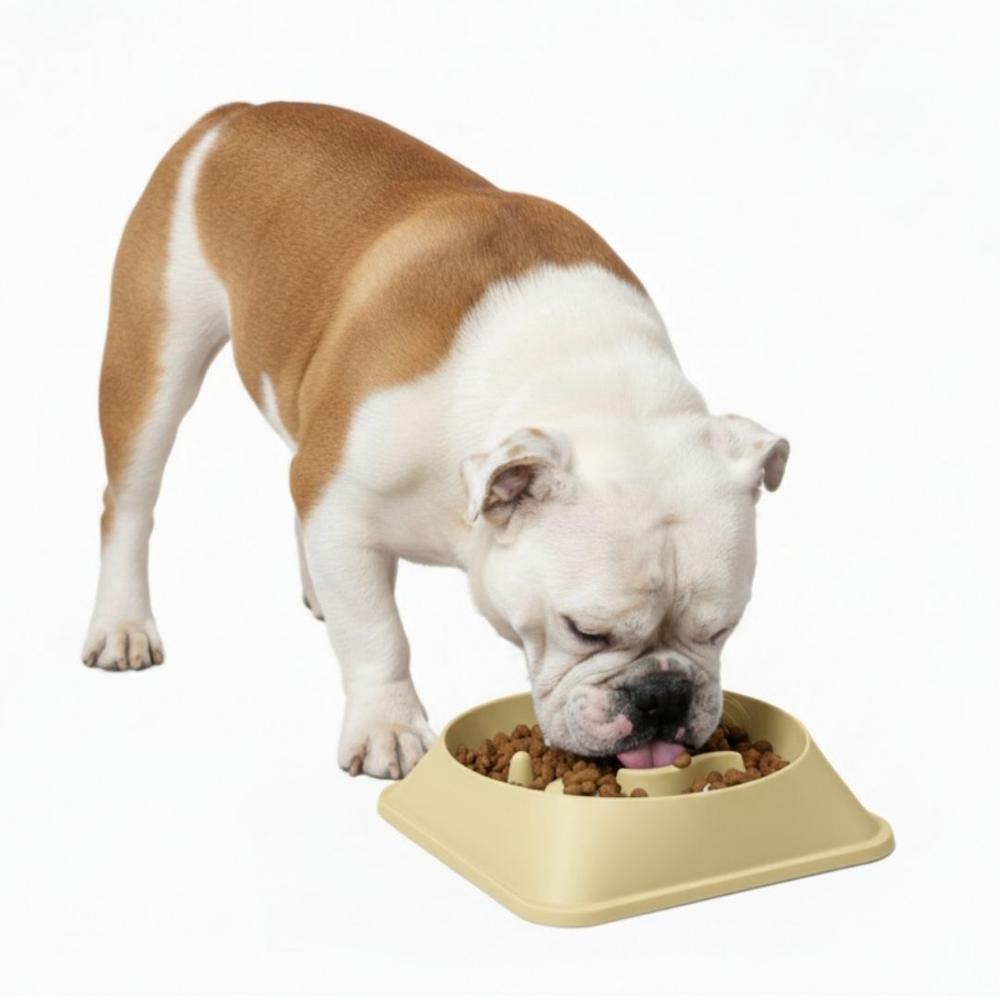 Plato Antiestrés para Mascotas Mejora Digestión Comedero Perros y Gatos Amarillo