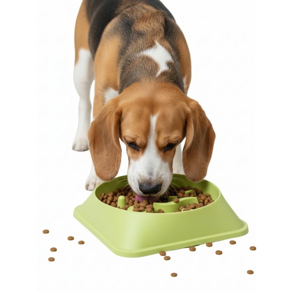 Plato Antiestrés para Mascotas Mejora Digestión Comedero Perros y Gatos Verde