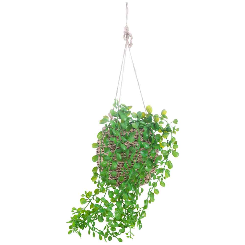 Planta Colgante DECO HOME Marruecos