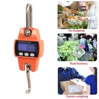 Balanza Colgante Digital de 300kg Acero Inoxidable