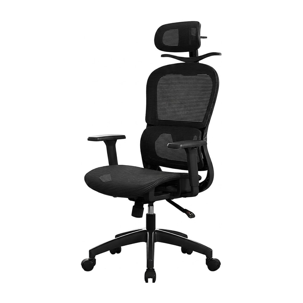 Silla de Oficina Ergonómica Evox Advance E8-B Negro