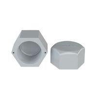 Tapón Hembra 3/4"" Roscado Agua Fría Pavco