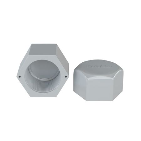 Tapón hembra 3/4 roscado - Agua fría Pavco