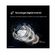 imageUrl_7