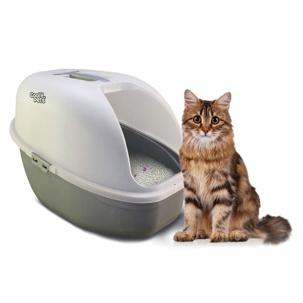 Arenero Cool Pets 61 x 41.5 x 41 Cm