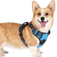 Arnés Ajustable para Perro Talla Small Antitirones Reflectante con Asa Color Celeste