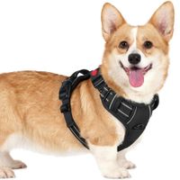 Arnés Ajustable para Perro Talla Small Antitirones Reflectante con Asa Color Negro
