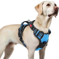 Arnés Ajustable para Perro Talla Large Antitirones Reflectante con Asa Color azul Claro