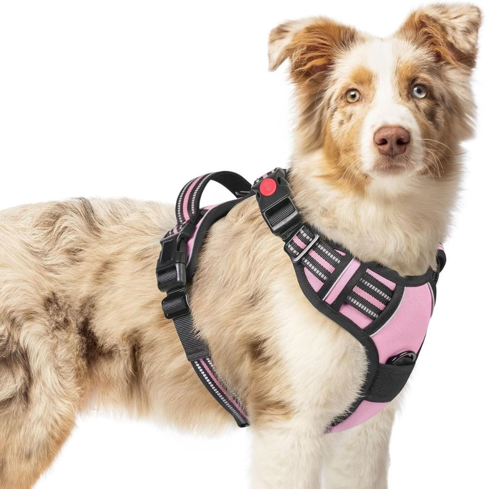 Arnés Ajustable para Perro Talla Medium Antitirones Reflectante con Asa Color Rosado