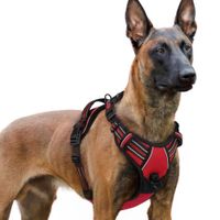 Arnés Ajustable para Perro Talla Extra Large Antitirones Reflectante con Asa Color Rojo