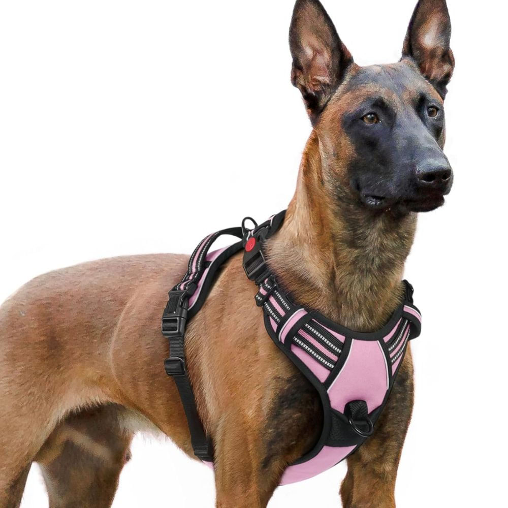 Arnés Ajustable para Perro Talla Extra Large Antitirones Reflectante con Asa Color Rosa