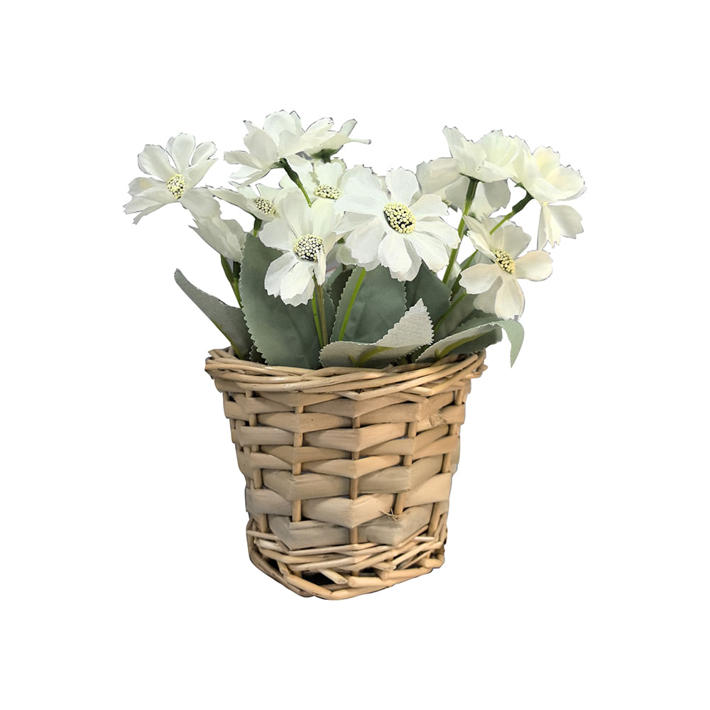 Maceta C/Planta DECO HOME 1 Artf Pascuas