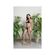 imageUrl_3