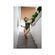 imageUrl_1