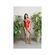 imageUrl_4