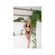 imageUrl_2