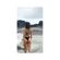 imageUrl_5