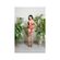 imageUrl_6