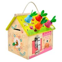 CASITA DIDÁCTICA DE ZANAHORIA ENCAJABLE