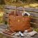 imageUrl_4