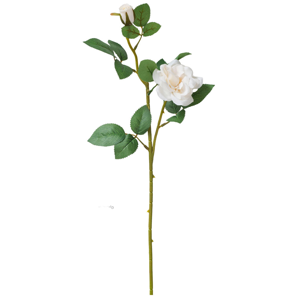 Rosa Blanca DECO HOME Ave 66cm