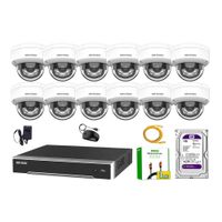 Kit 12 Cámara Seguridad Hikvision IP POE 4MP Domo Audio Antivandálico Disco 1TB