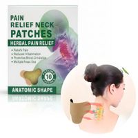 Pack de 20 Parches para Alivio del Dolor Cervical Lumbar