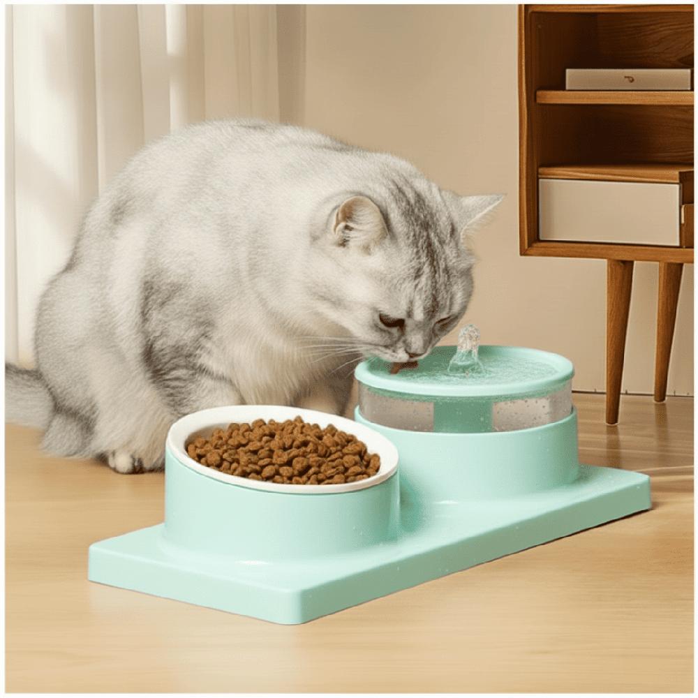 Comedero y Bebedero con Fuente de Agua Eléctrico para Mascotas Gato Perro Verde agua