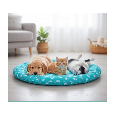 Manta Refrigerante Acolchada para Mascotas – 65 cm - CELESTE Celeste