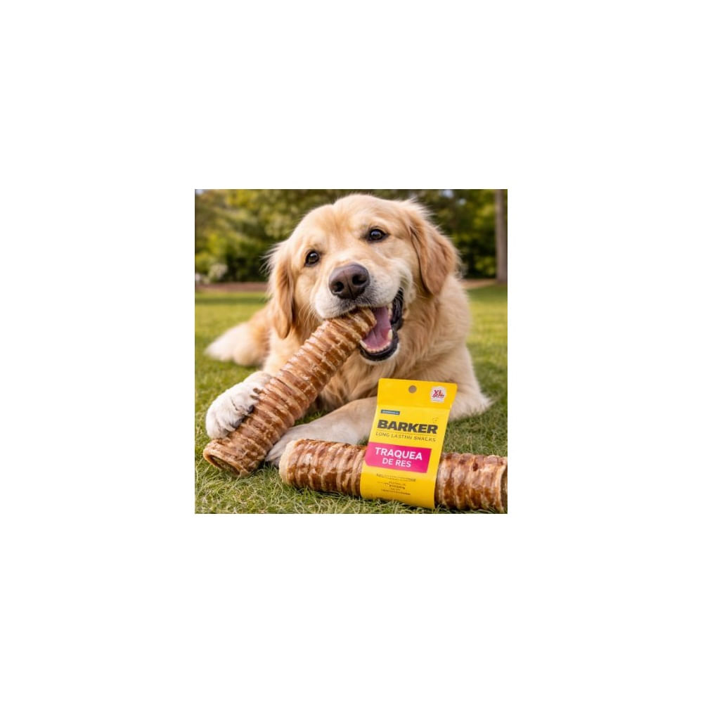 Tráquea de Res Deshidratada 33 - 35 cm  Barker Long Lasting Snacks
